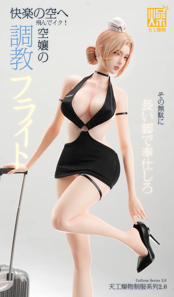 (Pre-order) Tian Gong Zao Wu Studio - Flight Attendant Flight Training | ShonenX Collectibles