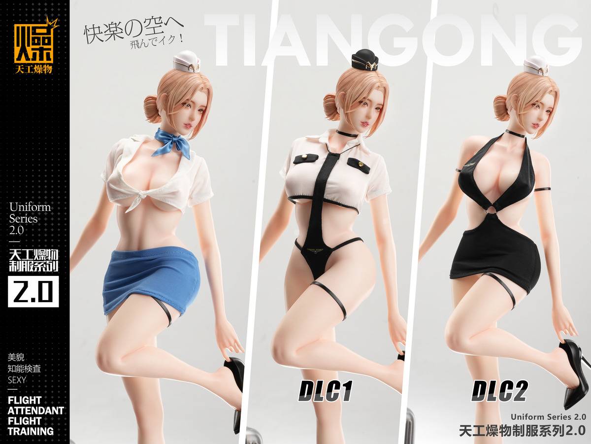 (Pre-order) Tian Gong Zao Wu Studio - Flight Attendant Flight Training | ShonenX Collectibles