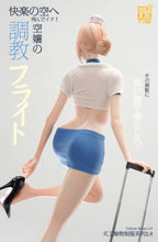 (Pre-order) Tian Gong Zao Wu Studio - Flight Attendant Flight Training | ShonenX Collectibles
