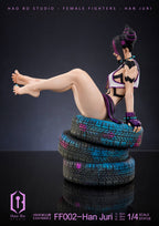 (Ready Stock) Hao Bo Studio - Han Juri - Street Fighter | ShonenX Collectibles
