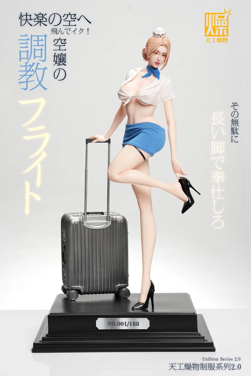 (Pre-order) Tian Gong Zao Wu Studio - Flight Attendant Flight Training | ShonenX Collectibles