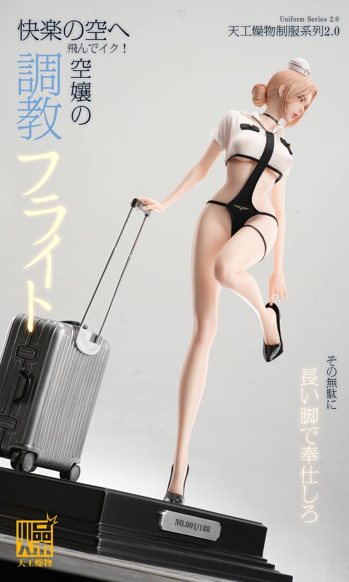(Pre-order) Tian Gong Zao Wu Studio - Flight Attendant Flight Training | ShonenX Collectibles