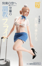 (Pre-order) Tian Gong Zao Wu Studio - Flight Attendant Flight Training | ShonenX Collectibles