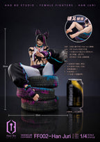 (Ready Stock) Hao Bo Studio - Han Juri - Street Fighter | ShonenX Collectibles