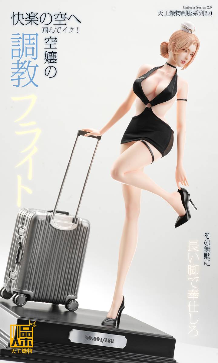 (Pre-order) Tian Gong Zao Wu Studio - Flight Attendant Flight Training | ShonenX Collectibles