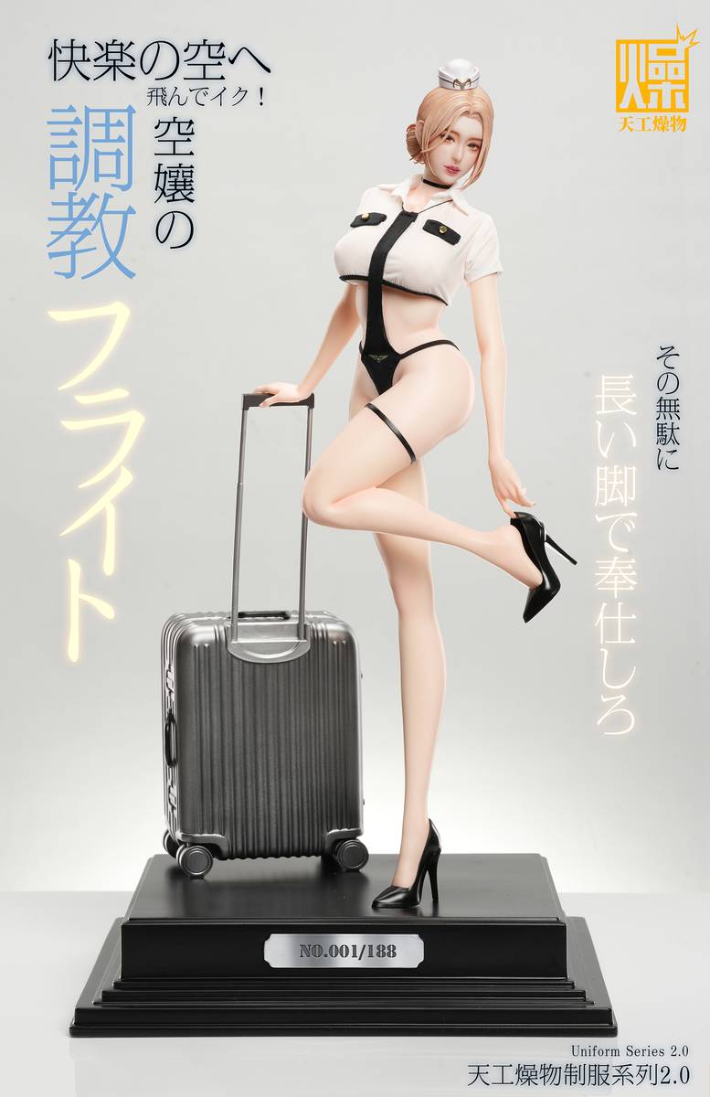 (Pre-order) Tian Gong Zao Wu Studio - Flight Attendant Flight Training | ShonenX Collectibles