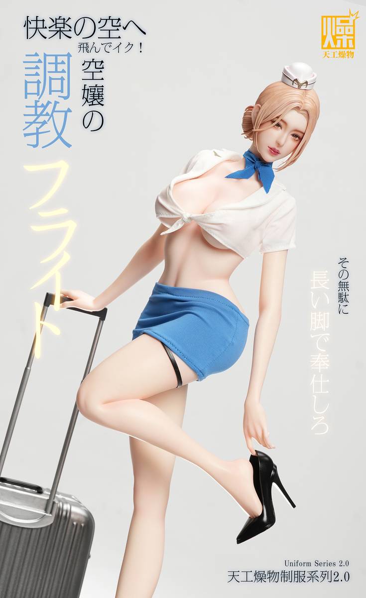(Pre-order) Tian Gong Zao Wu Studio - Flight Attendant Flight Training | ShonenX Collectibles